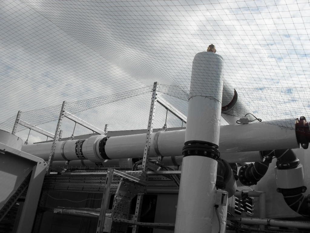 Bird Control in Derby, Derbyshire